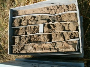 ground _sample